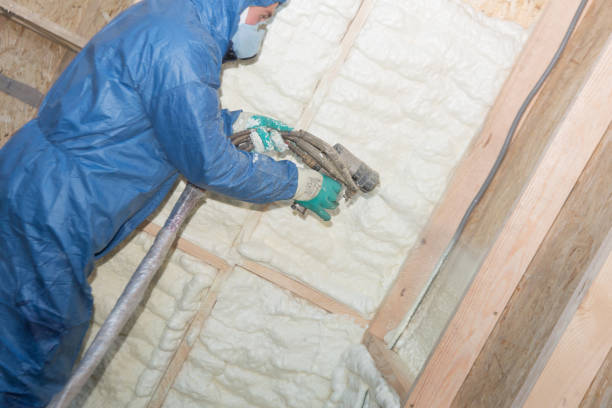 Best Blown-In Insulation  in Roscoe, TX