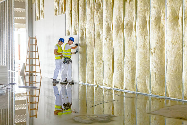 Trusted Roscoe, TX Insulation Experts