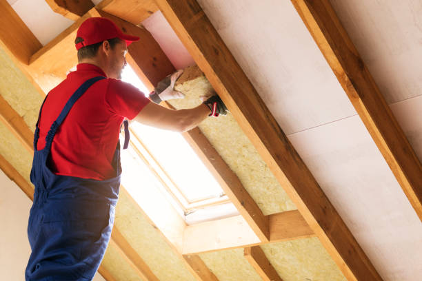 Best Attic Insulation Installation  in Roscoe, TX